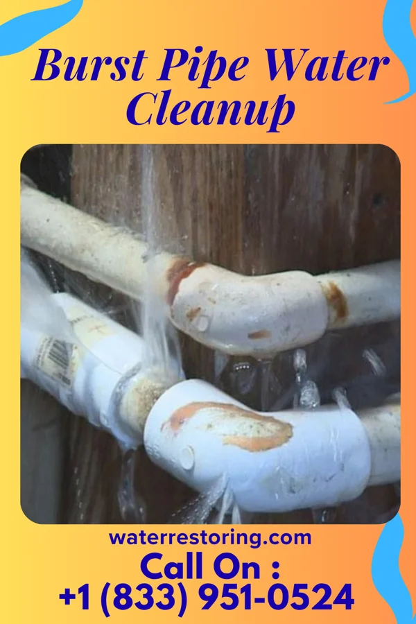 Burst Pipe Water Cleanup in Douglas, MI