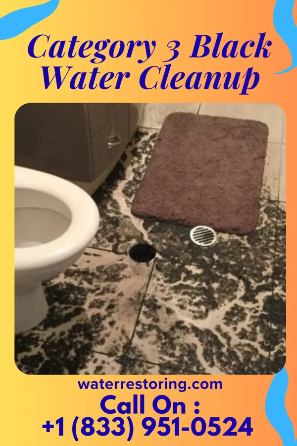 Category 3 Black Water Cleanup in Douglas, MI