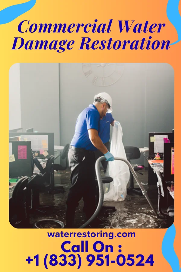 Commercial Water Damage Restoration in Douglas, MI