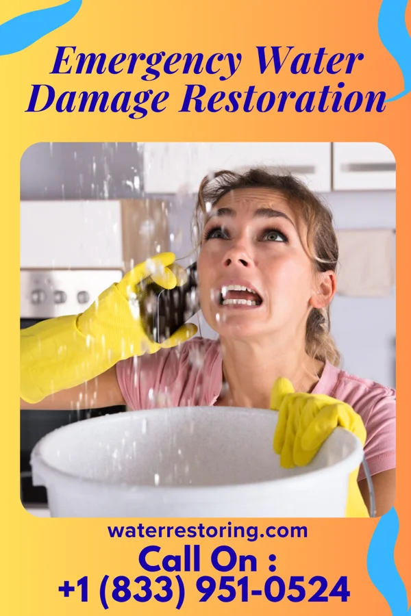Emergency Water Damage Restoration in Douglas, MI