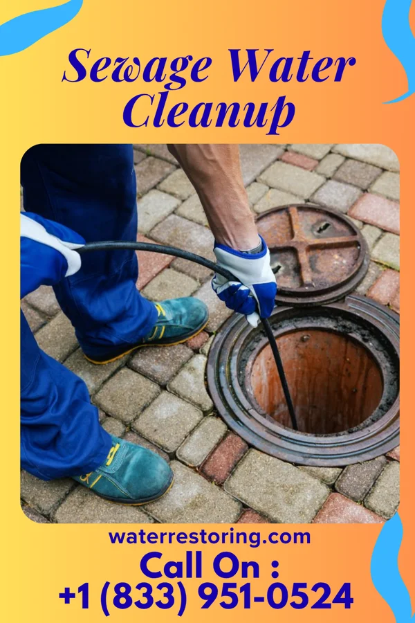 Sewage Water Cleanup in Douglas, MI